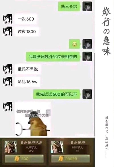 这是一张多图拼接的静态图，主要分为上下两部分。上方是微信风格的聊天记录截图，内容为一场充满误会的搞笑对话：一方以“熟人介绍”开启对话，另一方误以为是提供特殊服务，回复“一次600”“过夜1800”，当介绍方说明是张阿姨介绍来相亲的后，对方立刻改口索要“彩礼16.6w”，介绍方顺势调侃“我先试试600的可以不”，对方则发送一张手持长棍的暴躁柴犬表情包，配文“你再多哔哔一句 我就拿这个叉你”，通过身份认知的错位制造强烈的反差幽默。下方是两张桌游《三国杀》的游戏界面截图，展示的是武将“界步练师”的试用界面，左侧界面显示试用8天，需花费500，本周可兑2/2；右侧界面显示剩余可兑1/1，需花费99999。图片右侧还有竖排的日文水印文字“旅行の意味”和“城を離れて、別の城へ……”，与主体内容无关。整图将搞笑聊天段子与游戏界面结合，以荒诞的误会为核心笑点，是典型的网络搞笑创作内容。