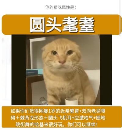 这张梗图围绕“你的猫咪属性是什么”的网络趣味测试，利用一只呆萌的圆头橘猫以及夸张、戏谑的用词描绘猫咪常见的“二”属性，风格搞笑又自嘲。文字中运用“网暴1岁的近亲繁育”“双向老吴障碍”等梗化说法，带有强烈网络语言色彩，调侃猫奴和猫咪互动的有趣日常，适合用来分享在宠物群、朋友圈等处表达养猫的无奈与乐趣。

双关/暗示：
“圆头莽莽”既指猫咪的外型（圆脸+莽撞），又暗含呆萌、傻气。文案夸张化描述如“障碍”“跳街舞”等，都是典型网络段子式吐槽。