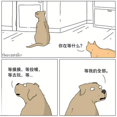 这是一幅三格漫画，描绘了一只狗和一只猫的对话。第一格中，一只棕色的狗正坐在门边抬头望着门，一只橘色的猫在它身后问道："你在等什么?"。第二格特写狗的脸，它回答说："等摸摸，等投喂，等去玩，等..."。第三格中，狗继续说道："等我的全部。"，表情认真。漫画通过简单的对话展现了宠物对主人的依赖和期待，充满温馨治愈的氛围。