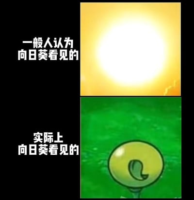这是一张上下对比的梗图，通过幽默方式展现人们对向日葵视觉的普遍认知与游戏中的创意表现之间的反差。上半部分是明亮的黄色太阳，配文"一般人认为向日葵看见的"；下半部分是游戏《植物大战僵尸》中的黄色太阳道具，配文"实际上向日葵看见的"。