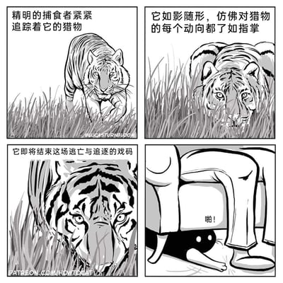 这是一组四格黑白卡通漫画，前三格用旁白营造出紧张的捕猎氛围：第一格展示老虎作为精明的捕食者，在草丛中紧紧追踪猎物；第二格老虎潜伏在草丛里，旁白描述它对猎物动向了如指掌；第三格老虎逼近，旁白称即将结束追逐戏码，让读者以为即将看到老虎捕猎的场景。第四格画面突然反转，呈现的是一只黑猫从椅子下方伸出爪子，绊倒了路过的人，发出“啪！”的声响，将前三格的紧张感瞬间转化为日常猫咪调皮的搞笑场景，形成强烈的剧情反差，带来幽默效果。