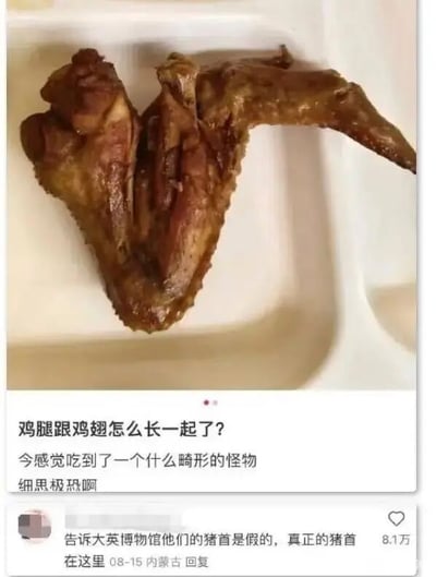 图片展示了一块放在白色容器中的熟食，其形状同时具有鸡腿和鸡翅的特征，看起来像是两者异常地长在了一起。图片下方配有文字：“鸡腿跟鸡翅怎么长一起了？今感觉吃到了一个什么畸形的怪物 细思极恐啊”，表达了对这种奇特食物形态的惊讶和疑惑。下方还有一条热门评论：“告诉大英博物馆他们的猪首是假的，真正的猪首在这里 08-15 内蒙古 回复”，获得了8.1万点赞，以幽默的方式将这块肉的形状比作猪首，增加了搞笑效果。