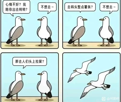 这是一幅四格卡通漫画，主角是两只海鸥。第一格中，左边的海鸥关切地询问心情不好的同伴要不要出去转转，得到了同伴“不想去~”的拒绝；第二格中，左边海鸥又提议去码头整点薯条，同伴依旧拒绝；第三格中，左边海鸥提出“那去人们头上拉屎？”的另类提议，同伴立刻有了反应；第四格中，两只海鸥立刻展翅高飞，准备去实施这个恶作剧。漫画精准抓住了海鸥喜欢在人类头上拉屎的刻板印象，用反差感制造笑点，将这种海鸥的“烦人”行为塑造成治愈坏心情的绝佳方式，充满趣味。
