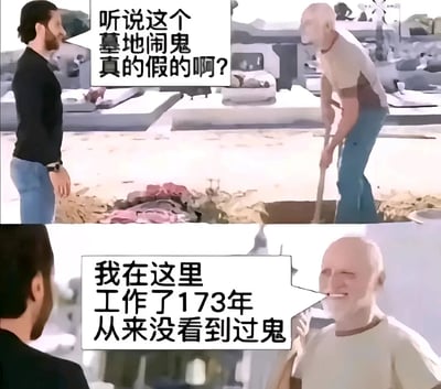 图片为上下两格连环图。上格中，一名穿黑色上衣的年轻人站在墓地前，对着正在用铁锹挖地的白发老人问道：“听说这个墓地闹鬼真的假的啊？”。下格中，老人转过头微笑着回答：“我在这里工作了173年从来没看到过鬼”。

图片通过老人声称工作173年这一明显超出人类寿命的细节制造幽默，暗示老人自己可能就是鬼魂却不自知，形成反差笑点。