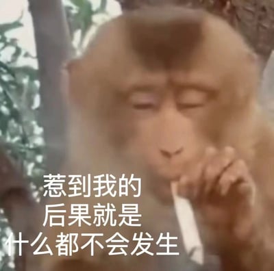 一只猴子闭目养神的特写镜头，表情平静，单手托腮，背景有模糊的树木。图片左侧叠加了白色文字："惹到我的后果就是什么都不会发生"，形成一种反差萌的幽默效果。