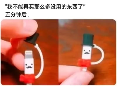 这是一张充满生活趣味的搞笑梗图，通过文字和画面的前后反差，调侃了很多人在消费时的真实状态。上方的文字先立下“我不能再买那么多没用的东西了”的理性消费flag，紧接着用“五分钟后：”引出下方的左右对比图：左侧图中，一只手拿着带有小胡子、红色领结的苹果充电头，旁边还放着一个黑色的小礼帽配件；右侧图里，这个黑色小礼帽被戴在了充电头上，让原本普通的充电头摇身一变，成为一个戴着礼帽、有小胡子和领结的可爱小绅士造型。这个充电头装饰属于没有实际功能、仅靠可爱设计吸引人的小物件，精准戳中了很多人明明想理性消费，却总是被这类有趣无用的小物品“种草”，刚立的flag立刻倒了的矛盾心理，用幽默的方式引发网友共鸣。