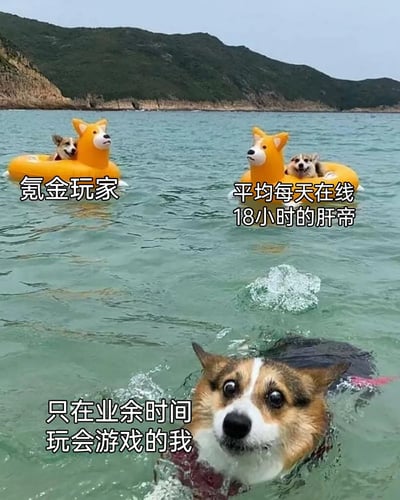 这是一张以柯基游泳场景创作的游戏玩家分类趣味梗图，画面中共有三只柯基：左上角的柯基坐在柯基造型游泳圈里，被标注为“氪金玩家”，代表在游戏中投入金钱获取优势、游戏体验轻松的玩家群体；右上角的柯基同样坐在游泳圈里，标注“平均每天在线18小时的肝帝”，指代花费大量时间在游戏中刷取资源、投入极高时间成本的玩家；画面下方的柯基没有游泳圈，独自在水中扑腾，标注“只在业余时间玩会游戏的我”，代表仅利用碎片化休闲时间玩游戏的普通玩家。通过三种不同状态的柯基，生动且幽默地调侃了游戏圈里不同类型玩家的差异，画面充满趣味，精准贴合玩家群体的真实状态，容易引发游戏玩家的共鸣。