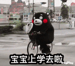 动态图中熊本熊穿着标志性黑色服装，骑着自行车在街道上前行，脸上带着开心的表情，每帧画面都配有文字“宝宝上学去啦”，整体展现出一种欢快、可爱的上学场景，充满童趣和活力。