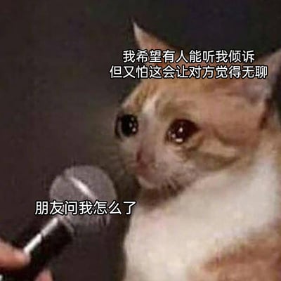 这是一张经过二次创作的表情包，画面主体是一只眼眶含泪、眼神委屈纠结的猫咪，面前被递来一支麦克风。搭配的文字精准描绘了当代人在社交中的一种普遍矛盾心理：内心十分渴望向他人倾诉自己的情绪与心事，却又过度担忧自己的倾诉会给对方带来困扰、让对方感到无聊，当朋友主动关心询问时，这种想开口又犹豫的纠结感被进一步放大，细腻地戳中了人们在社交中害怕添麻烦、过度在意他人看法的情绪痛点。