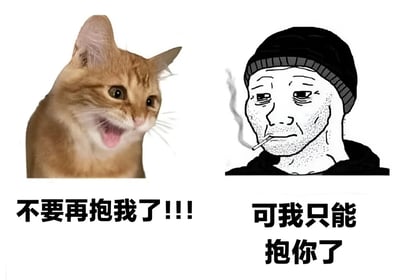 左边是一只张着嘴、表情抗拒的橘猫，下方配文'不要再抱我了!!!'；右边是一个戴着帽子、叼着烟、表情悲伤的男人插画，下方配文'可我只能抱你了'。通过对比展现一种情感上的错位和无奈。
