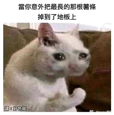 这是一张经过二次创作的搞笑表情包，上方配有简体中文文案“当你意外把最长的那根薯条掉到了地板上”，图中主体是一只白色猫咪，它双眼含泪，表情委屈巴巴，爪子合在一起，神态无助又失落。这张图用拟人化的方式，将猫咪的委屈情绪与人们不小心弄掉最喜欢的食物——最长的薯条时的崩溃、失落心情对应起来，精准共情了日常里的小倒霉事，容易引发网友的共鸣，适合在社交平台用来表达自己遇到小挫折时的郁闷、委屈心情。