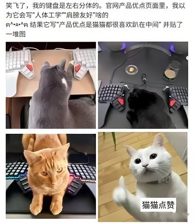 这是一张图文混排的多图拼接梗图，上方文字描述了用户发现左右分体键盘官网产品优点页面未提及“人体工学”“肩膀友好”等常规卖点，反而以“猫猫都很喜欢趴在中间”作为产品优点并配图的趣事。下方四张图片分别展示了灰色猫咪、黑色猫咪、橘色猫咪和白色猫咪趴在分体键盘中间的场景，其中第四张白色猫咪图片配有“猫猫点赞”的文字，整体风格幽默可爱，突出了产品设计意外受到猫咪喜爱的反差萌。
