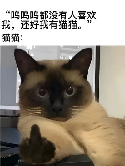 图片上方为黑色文字“呜呜呜都没有人喜欢我，还好我有猫猫。”，下方标注“猫猫：”，紧接着是一张暹罗猫的照片。猫咪面部毛色较深（典型暹罗猫特征），身体毛色浅白，正直视镜头，眼神显得有些冷淡或无动于衷，一只前爪微微抬起，整体姿态慵懒。文字表达了人类的孤独感与对宠物的依赖，而猫咪的表情则形成反差萌，仿佛在无声中展现“高冷”态度，营造出幽默治愈的效果。