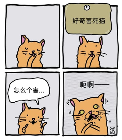 这是一幅四格连环卡通漫画，以经典谚语“好奇害死猫”为创作蓝本，进行了字面化的搞笑演绎。第一格中，橘色卡通猫闭着眼睛，惬意地舔着自己的爪子；第二格上方出现提示框，写着“好奇害死猫”，橘猫睁开眼睛，表情透出疑惑；第三格中，橘猫带着好奇的语气发问“怎么个害...”；第四格中，橘猫突然露出极度痛苦的表情，眼睛圆睁，身体发抖，发出“呃啊——”的惨叫，将谚语中“好奇害死猫”的抽象含义具象化，让猫因为自己的好奇直接“被害”，制造出荒诞又滑稽的喜剧效果。