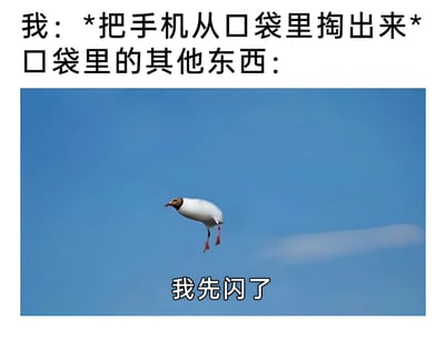 这张梗图通过文字与图片结合，幽默地表现了人们从口袋掏手机时，口袋里其他东西容易掉出来的常见生活场景。上方文字写着“我：*把手机从口袋里掏出来* 口袋里的其他东西：”，下方是一张海鸥展翅高飞的照片，图片底部配有文字“我先闪了”，用海鸥飞走的形象比喻口袋里的东西掉落或“溜走”的状态，形成有趣的视觉联想。