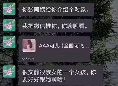 这是一张模拟微信聊天记录的搞笑梗图，内容是长辈给晚辈介绍相亲对象，先是告知要推对方微信，接着发出了名为“AAA可儿（全国可飞...”的个人名片，最后还强调这个女孩“很文静很淑女”，让晚辈好好聊。但“AAA开头+全国可飞”的名片风格，在网络语境中通常暗示该人员从事特殊服务行业，和长辈描述的文静淑女形象形成强烈反差，制造出荒诞搞笑的效果。