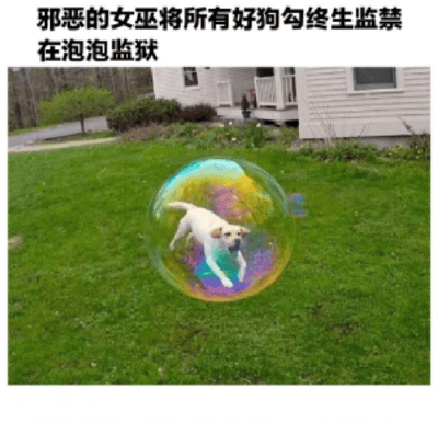 这是一张经过P图改编的文字加注静态单图，画面背景是户外的绿色草坪与一栋白色住宅，草坪中央有一个色彩斑斓的透明大泡泡，一只浅色的小狗被合成在泡泡内部，看起来像是被关在其中。图片上方配有搞笑文字“邪恶的女巫将所有好狗勾终生监禁在泡泡监狱”，其中“好狗勾”是对狗狗的萌系可爱称呼，用夸张的“终生监禁”说法和脆弱的泡泡形成反差，营造出滑稽搞笑的氛围，整体内容充满萌趣，是用来调侃和展示宠物可爱的趣味创作。
