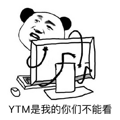 熊猫头守护电脑：YTM是我的你们不能看