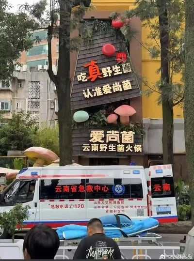 整张图为实地拍摄的街边场景，画面主体是一家名为“爱尚菌云南野生菌火锅”的门店，门店招牌设计为仿树屋的斜顶样式，装饰了多枚仿真彩色蘑菇造型，同时配有“吃真野生 认准爱尚菌”的宣传标语。门店门前停放着标有“云南省急救中心”字样的120救护车，车旁还摆放着医用担架，二者组合形成极具戏剧性的反差效果：因云南当地食用处理不当的野生菌容易出现中毒需要急救的情况，该巧合场景被网友调侃为野生菌火锅的“售后保障”，充满趣味。画面右下角可见微博水印“@你群离岛”，前景还有两名背对镜头的路人。