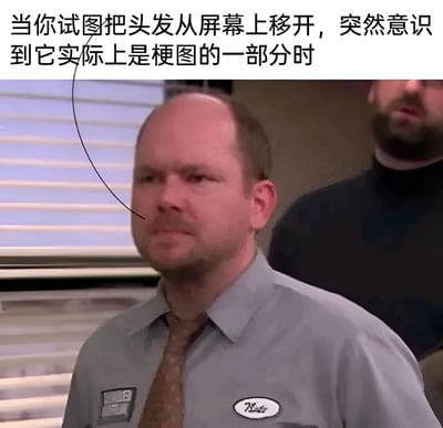 图片上方有一行文字：'当你试图把头发从屏幕上移开，突然意识到它实际上是梗图的一部分时'。下方是一位穿着灰色衬衫和领带的中年男性，他表情困惑地直视前方，背景中还有另一个模糊的人影。这张梗图通过视觉错觉制造幽默效果，让观者误以为男性脸上的阴影是自己屏幕上的头发。