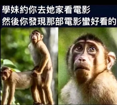 图片上方为蓝色背景白色文字：“學妹約你去她家看電影 然後你發現那部電影蠻好看的”，下方是两张并排的猴子照片。左侧照片中一只猴子站立在另一只猴子身上，背景为绿色植物；右侧照片是猴子的面部特写，双眼圆睁，表情呈现出明显的惊讶与困惑。整体通过文字情景与猴子表情的反差制造幽默效果，暗示原本可能带有其他期待的约会场景，结果注意力却完全被电影吸引的意外状况。