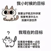 这是一张上下分栏的对比类卡通梗图，上方是一只眼神明亮、坐直身体的元气卡通猫，配文列出了小时候的远大目标：成为宇航员科学家、考上清华北大、环游世界，满是年少时的热血憧憬；下方是一只垂头丧气、无精打采的丧气卡通猫，配文写出了现在的“接地气”目标：如果中餐能点一份吃的，就能省下一顿饭钱。通过强烈的目标反差，幽默调侃了当代人从怀揣远大理想到被生活磨平棱角，目标变得无比现实的状态，引发大众共鸣。
