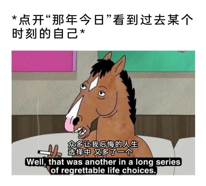 《马男波杰克》（BoJack Horseman）