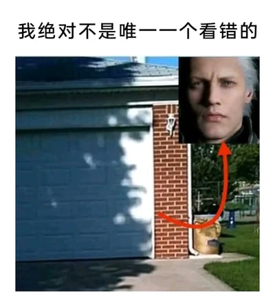 这是一张利用视觉错位制作的趣味合成梗图，主画面是一处户外住宅的车库场景，蓝色车库门右侧的砖墙旁，地面的袋子与墙面投射的阴影组合在一起，从视觉上看酷似游戏《鬼泣》中的角色维吉尔的面部轮廓。图片顶部配有文字“我绝对不是唯一一个看错的”，右上角嵌入了维吉尔的头像，并用红色箭头将地面袋子、墙面阴影与维吉尔头像连接起来，直观地展示出二者的相似性，以此调侃这种日常中出现的有趣视觉错位，引发有相同看错经历的人的共鸣。