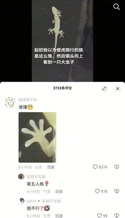 这是一张竖屏格式的社交媒体短视频评论区截图，上方是实拍视频画面：一只壁虎贴在深色平面上，配文说明起初以为壁虎爬行速度慢，后来发现是因为上方有大虫子，壁虎正处于捕猎前的潜伏状态。下方是评论区互动内容：用户「赌深情不负」发布壁虎爪子的特写图并配文「谁懂😢」，获得8374个赞；用户「答题不写解」留言「第五人格🌹」，将壁虎的爪子与游戏《第五人格》中类似爬行动物的角色手部关联玩梗；用户「k尔尔」回复该评论「我不行了😆」，表达对这个趣味梗的反应。整体内容是生活中的动物观察结合网友的游戏玩梗互动，充满趣味性。