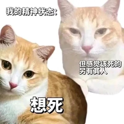 这是一张多图拼接的文字加注表情素材图，图中展示了两只同品种的橘白猫咪：左侧猫咪睁着圆眼睛，神情低落无辜，配文“想死”；右侧猫咪眼神疲惫、神情萎靡，配文“但感觉该死的另有其人”，图片顶部还有总起文字“我的精神状态:”。整体内容用猫咪的不同神态搭配直白的文字，精准地调侃了当代年轻人在面对生活、工作中的压力与烦心事时，那种既陷入低落情绪又忍不住吐槽、觉得问题根源不在自身的复杂精神状态，是用来宣泄负面情绪、自嘲的趣味表情包。