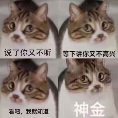 这是一张由四张图片拼接而成的静态梗图，主体是经过P图处理的歪脸猫咪，猫咪脸部扭曲，呈现出无奈又烦躁的神态。图中搭配四组递进式的吐槽文字：第一格“说了你又不听”，第二格“等下讲你又不高兴”，第三格“看吧，我就知道”，第四格“神金”是“神经”的谐音，完整还原了日常中“好心提醒他人却不被领情，最后结果如预料般糟糕，最终彻底无语崩溃”的场景，用来吐槽那些不听劝还闹情绪，最后印证坏结果的人或事，通过夸张的猫咪神态和谐音梗放大了无奈吐槽的情绪，容易引发网友共鸣。