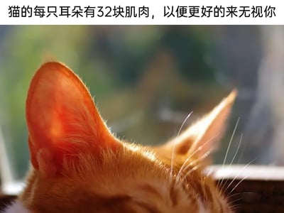 暂无描述