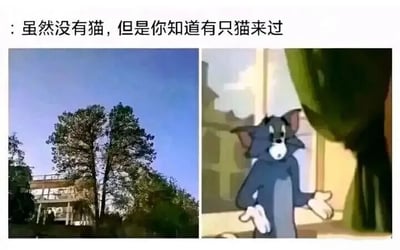 图片为左右对比图，左侧是两棵树形酷似猫耳朵的树木，背景有建筑物和蓝天；右侧是动画《猫和老鼠》中的汤姆猫，表情惊讶，双手摊开站立。图片上方配有文字'虽然没有猫，但是你知道有只猫来过'，通过树木形状与汤姆猫的联想制造幽默效果。