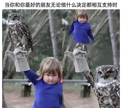 图片为左右对比构图，上方配有文字“当你和你最好的朋友无论做什么决定都相互支持时”。左图中，金发小孩穿着蓝色上衣，左手戴着灰色手套，手套上站立着一只眼神锐利的猫头鹰，背景是模糊的树林和长椅；右图通过P图将角色位置反转，猫头鹰用爪子“戴”着同一手套，手套上则站立着保持相同姿势的小孩。整体通过真实照片的创意改编，以幽默的角色互换方式，生动展现了好朋友间无条件相互支持的默契关系。