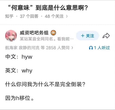 这是一张知乎社区的问答截图，顶部的提问为「‘何意味’到底是什么意思啊？」，该问题有37个回答、48人关注。用户「威资吧吧务组」发布了获2858人赞同的回答，玩了谐音与英语语法梗：首先指出“何意味”的拼音首字母缩写是hyw，对应发音相近的英文单词why（为什么），之后又玩英语语法术语的梗，用“完全倒装”“h移位”的知识点来调侃解释为什么hyw没有完全倒转为why的字母顺序，巧妙结合谐音和专业术语制造笑点。