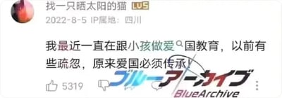 这是一张哔哩哔哩（B站）的社交媒体动态截图，截图展示了LV5用户“找一只晒太阳的猫”于2022年8月5日发布的动态，IP属地显示为四川。该用户发布的文字内容通过断句制造歧义，将“爱国教育”断句为“做爱 国教育”，形成低俗的网络梗，后续补充“原来爱国必须传承”点明原本想表达的是对小孩进行爱国教育，此前有所疏忽，现在意识到爱国需要传承。截图右下角被添加了手游《蔚蓝档案》（日文名ブルーアーカイブ）的文字水印，覆盖在动态的点赞、踩按钮右侧，该动态获得了5319个点赞。