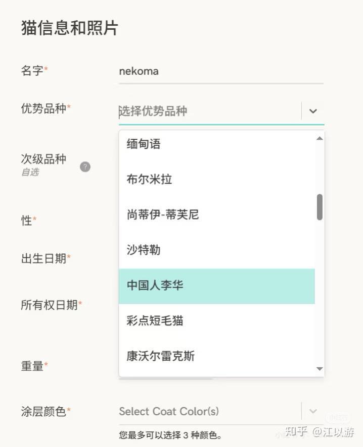 英语作文虚拟人物