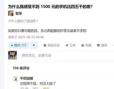 社交媒体截图内容显示，有用户提问“为什么我感受不到1500元的手机比四五千的差？”，用户“智忽”回复称“如果你只看功能的话，东北雨姐跟刘亦菲也是差不多的”。该回复获得317人赞同，发布于2025-09-23 00:46，下方有106条评论，其中一条评论提到“话糙理不糙，但话太糙了”。图片通过类比不同人物在“功能”层面的相似性，幽默讨论手机价格差异与实际体验的关系。