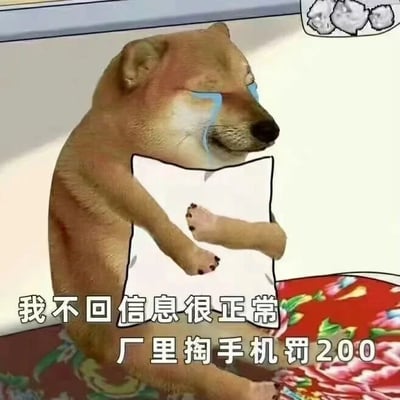这是一张经过P图改编的静态表情包，主体是被替换成人手臂的Cheems柴犬，它抱着白色枕头，脸上挂着蓝色的眼泪，蜷缩坐在带有红色花卉图案的平面上，右上角还有两个卡通小猫的小图标。图片下方配有文字“我不回信息很正常 厂里掏手机罚200”，以幽默自嘲的方式，吐槽工厂严格的管理规定，表达打工者因工作限制无法及时回复消息的无奈处境，容易引发职场打工群体的共鸣。