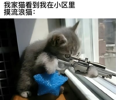 图片上方配有文字'我家猫看到我在小区里摸流浪猫：'，下方是一只灰色家猫蹲在窗边，两只前爪握着一把枪，正瞄准窗外的场景。通过拟人化的方式夸张表现家猫看到主人抚摸流浪猫时的'嫉妒'反应，充满搞笑戏谑感。