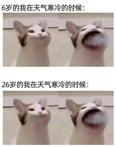 这是一张上下结构的对比梗图，上半部分配文“6岁的我在天气寒冷的时候：”，下半部分配文“26岁的我在天气寒冷的时候：”，两个部分都使用了相同的两张猫咪图片：第一张猫咪表情平静，第二张猫咪大张嘴哈气，呼出明显的白气，生动表现出被寒冷天气影响的状态。图中通过重复相同的猫咪画面，调侃不管是童年时期还是成年后，人们面对寒冷天气时的反应都是相似的，这种跨越年龄的相同体验容易引发网友的共鸣，是贴合日常生活感受的趣味创作。