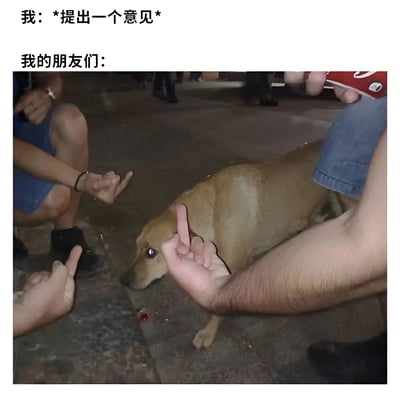 图片上方文字分为两行，第一行是“我：*提出一个意见*”，第二行是“我的朋友们：”。下方配图为一只棕色的狗趴在地上，周围有几只手对着狗做出竖中指的手势，通过图文结合幽默地表现出当自己提出意见时，朋友们集体表示反对或不屑的场景。