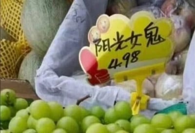 这是一张原始拍摄的静态图，呈现了水果店的摊位场景。画面前景是一串饱满的绿色阳光玫瑰葡萄，旁边立着一个带有卡通笑脸装饰的黄色价格牌，牌上用黑色字体写着“阳光女鬼 4.98”，是利用“阳光玫瑰”的谐音玩的趣味文字梗，将“玫瑰”替换成“女鬼”制造笑点，4.98应为该葡萄每斤的售价。背景中还能看到套着黄色网套的瓜类水果，以及一些包装好的其他水果，整体是日常的水果店售卖场景。