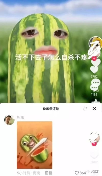 这是一张抖音类短视频平台的评论区截图，主帖内容为一个被P上人脸的长条形瓜类，配文“活不下去了怎么自杀不疼”，以拟人化的方式表现低落沮丧的情绪；评论区用户“狗蛋”回复了一张卡通瓜被切开、表情愉悦的图片，精准玩梗，将瓜被切开的命运对应为它的“自杀”方式，形成强烈的搞笑反差，图片右下角带有“笑嘻了”的水印，整体是网友自发创作的趣味玩梗内容，通过拟人化和场景呼应制造笑点。