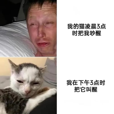 图片为左右结构的多图拼接+图文混排，左侧上下两张照片分别为：上方是一名男子躺在床上，面露困倦、恼怒的表情，眼睛半睁，似刚被吵醒；下方是一只灰白相间的猫，同样眯着眼，一脸不耐烦地躺着。右侧对应文字分别为“我的猫凌晨3点时把我吵醒”和“我在下午3点时把它叫醒”，通过人与猫相似的不爽表情形成幽默对比，展现宠物主人与猫咪之间互相打扰睡眠的搞笑日常。
