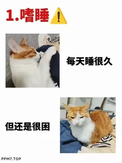 这是一张图文结合的搞笑内容图，旨在表现“嗜睡”的状态。顶部用醒目的红色字体搭配黄色警示感叹号标注主题“1.嗜睡”，随后通过两张橘白猫的实拍图片来具象化这种状态：第一张图里的橘白猫蜷缩着身体，正熟睡，旁边配文“每天睡很久”；第二张图里的同一只橘白猫半睁着眼睛，神态倦怠，配文“但还是很困”，用猫咪的真实状态调侃了嗜睡人群即便睡很久依然疲惫的日常，内容贴近生活，充满趣味性。