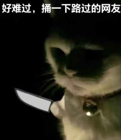 图片展示了一只表情悲伤的猫咪特写，它的脸占据了大部分画面，眼神中透露出难过的情绪。图片上方配有文字“好难过，捅一下路过的网友”，形成一种幽默又带点黑色幽默的效果。猫咪的眼睛和耳朵清晰可见，背景为纯黑色，突出主体。