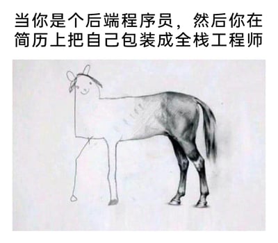 这是一张调侃职场简历包装的程序员类梗图，图片上方配有文字'当你是个后端程序员，然后你在简历上把自己包装成全栈工程师'，下方的视觉图是一匹风格反差强烈的手绘马：马的前半部分是潦草简单的简笔画，线条随意粗糙；后半部分则是精细写实的专业马身，刻画细致。这一视觉反差精准比喻了后端程序员包装成全栈工程师的真实状态：自己擅长的后端领域如同写实的马身一样专业扎实，而前端等其他不熟悉的领域则像简笔画一样粗浅潦草，用幽默的方式戳中职场人对过度包装简历的共鸣，生动形象地讽刺了职场中为求职夸大自身技能的现象。