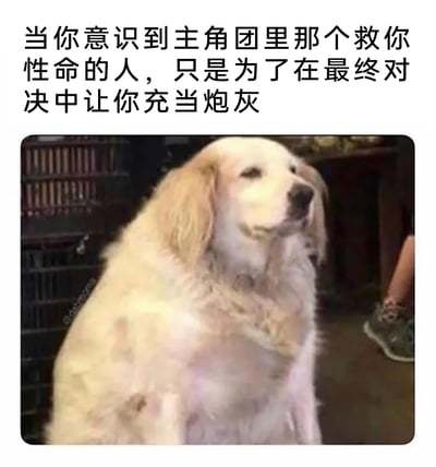 这是一张图文结合的搞笑表情包，上方配有吐槽文字“当你意识到主角团里那个救你性命的人，只是为了在最终对决中让你充当炮灰”，下方是一只金毛犬的实拍照片，狗狗表情无奈，眼神放空，嘴角下垂，呈现出一种生无可恋的状态，精准地契合了文字中那种发现自己被主角团利用、沦为炮灰的绝望与无奈情绪，常用于调侃影视、动漫、小说剧情里常见的“利用配角作为决战炮灰”的套路，能让有类似剧情体验的人产生强烈共鸣。