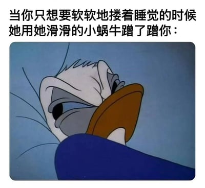 这是一张幽默梗图，上方配有文字“当你只想要软软地搂着睡觉的时候 她用她滑滑的小蜗牛蹭了蹭你：”，下方是迪士尼经典卡通角色唐老鸭的截图。图中唐老鸭侧躺着，眉头紧锁，半眯着眼睛，露出一副不耐烦又有点无奈的表情，完美契合了文字所描述的那种想要安静睡觉却被打扰的情景。